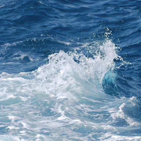 提供受眾服務的專家慈