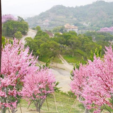 芊圃園藝景觀庭園 - 南投草屯案場