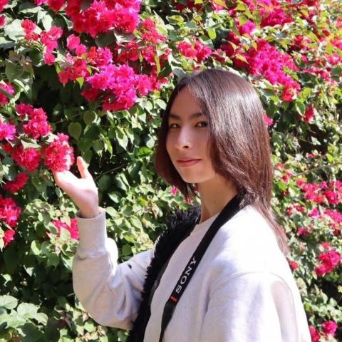 提供18h韓漫服務的專家韓