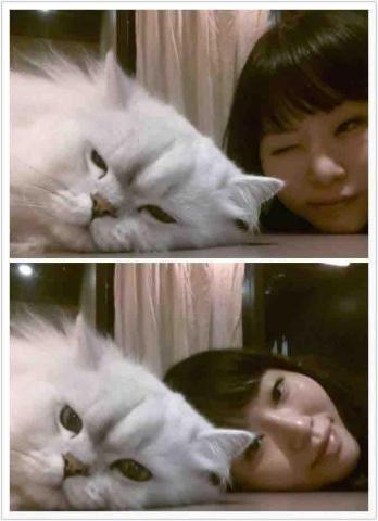 蔡芊晴 - 貓咪照顧