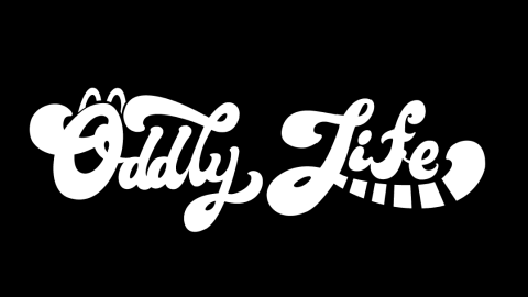 Mika - 品牌標準字