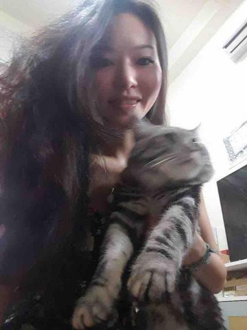 蔡芊晴 - 貓咪照顧