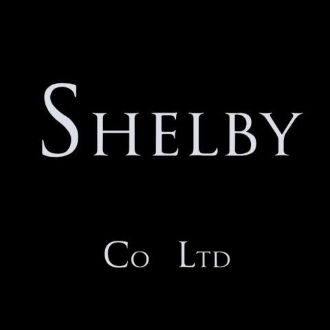 提供行銷公司台中服務的專家Shelby Liu