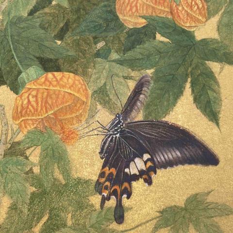 詹育權 - 花鳥創作