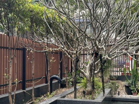 專業水電師傅，3C專家 - 庭園燈