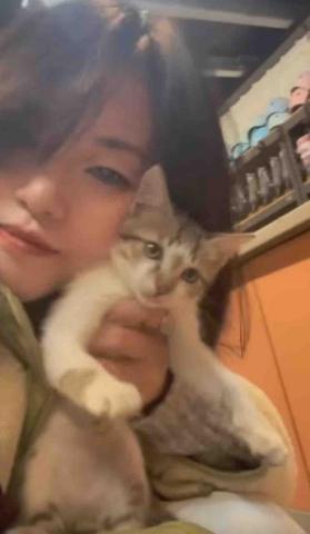 蔡芊晴 - 幫冰場的店貓剪指甲