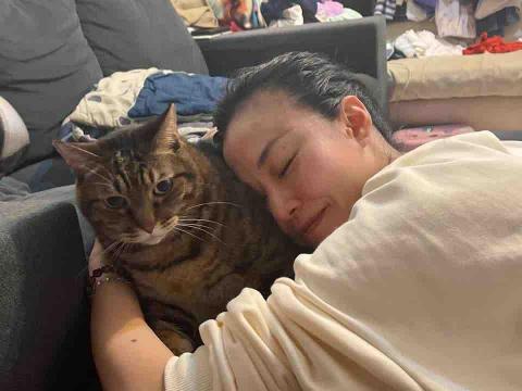 蔡芊晴 - 貓咪照顧
