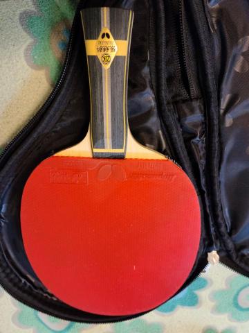 陳靖宇-桌球陪練 - 