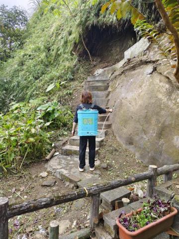 🪽森羽園藝 - 除草劑施作