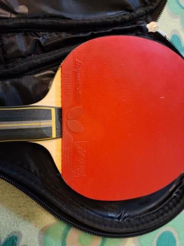 陳靖宇-桌球陪練 - 