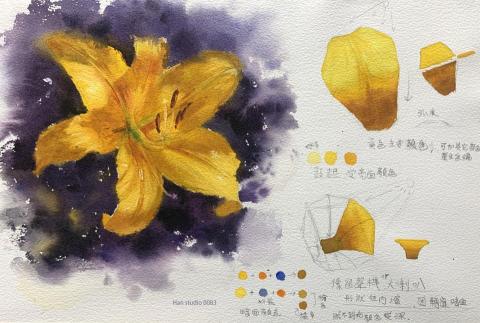 Han studio  邱柏翰 - 百合花水彩習作1

透過觀察，我們可以發現形狀結構影響顏色變化。

