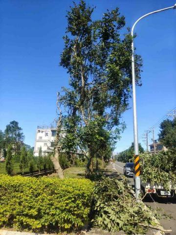 丞鍠環保實業社 - 樹木修剪