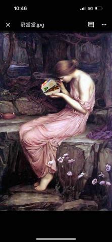 提供uiux服務的專家紫羅蘭