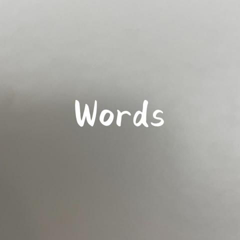 提供客服服務的專家潘柔善