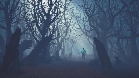 張哲瑋 - ue5 專題枯樹林場景製作