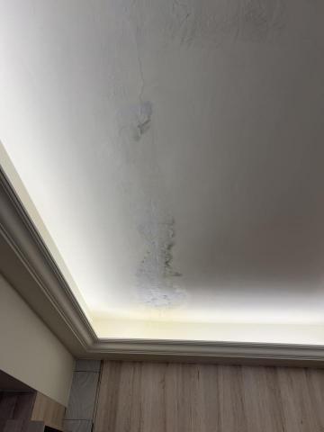水電油漆-謝先生 - 天花板壁癌處理