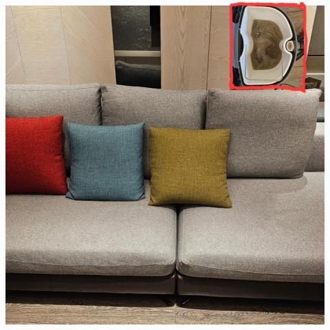 清潔先生 - 貓抓布清潔後