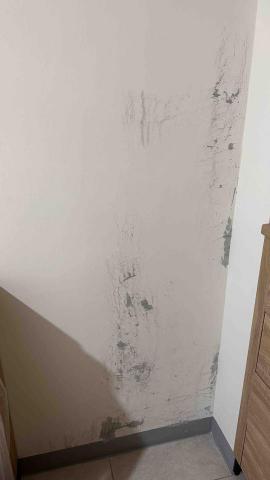 杊沐森-小港店 - 抓漏場勘