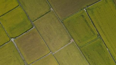 Ray - 正射影像拍攝