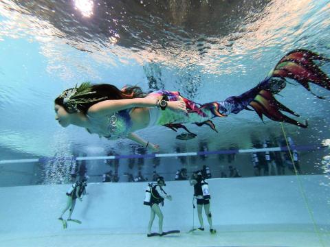 湛多媒體 - 潛水攝影  