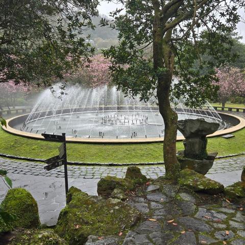 提供erpsap分別服務的專家林明治