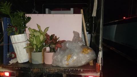 許志嘉 - 園藝運輸