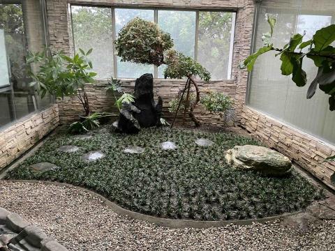 提供除草服務的專家so果園藝