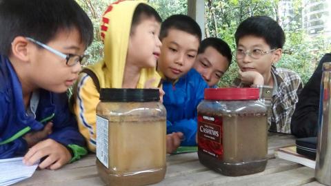 楊秀芬DolphinY - 實驗觀察