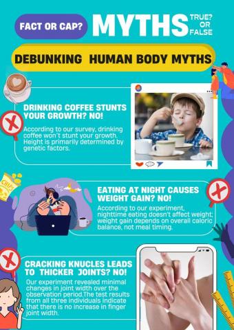 高妮妮 - 學校報告宣傳代寫