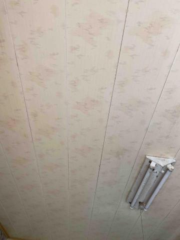 妃彤小可清潔工作室 - 