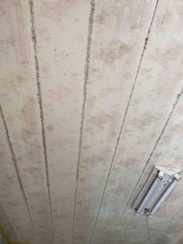 妃彤小可清潔工作室 - 天花板除霉