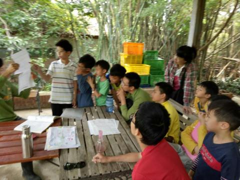 楊秀芬DolphinY - 讓孩子帶領