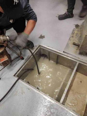 🐯通管達人🐯抓漏職人🐯馬桶專家🐯 - 