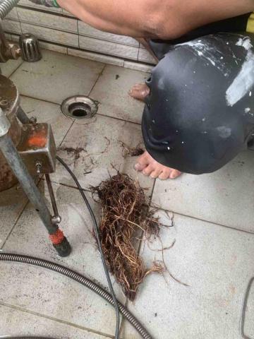 🐯通管達人🐯抓漏職人🐯馬桶專家🐯 - 