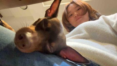 黃筠馨 - 陪我阿姨家的狗睡覺