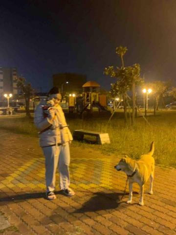 黃筠馨 - 帶狗狗去散步