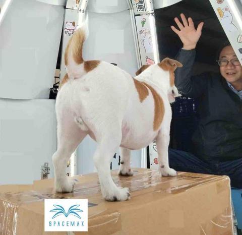 宏楊科技 - 真狗拍照 宏楊科技 - 真狗拍照