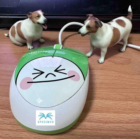 宏楊科技 - 真狗公仔 宏楊科技 - 真狗公仔