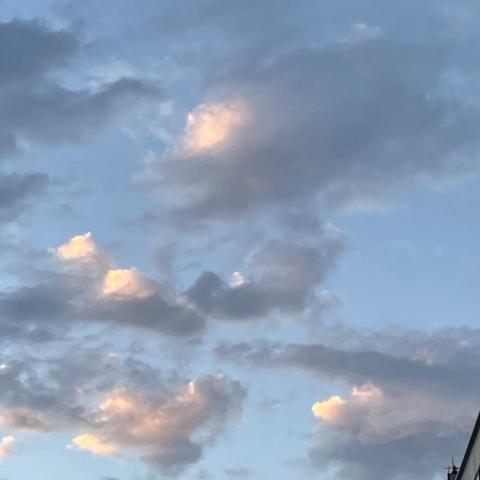 提供英語翻譯服務的專家kashibo