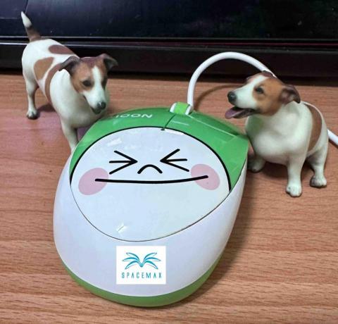 宏楊科技 - 真狗公仔 宏楊科技 - 真狗公仔