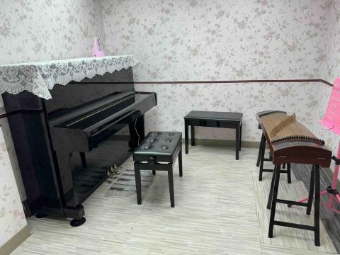 成人&小孩&鋼琴，古箏教學❤️蘇老師 - 個人琴房工作室❤️