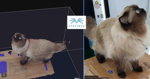 宏楊科技 - 真貓公仔 宏楊科技 - 真貓公仔