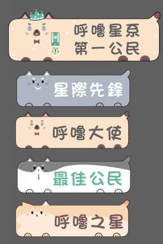 王小姐 - 打卡拍照版設計