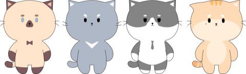 王小姐 - IP設計