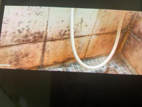 和昌清潔工作室 - 難處理的霉菌