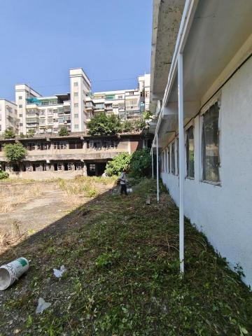 🪽森羽園藝 - 除草及鉅樹