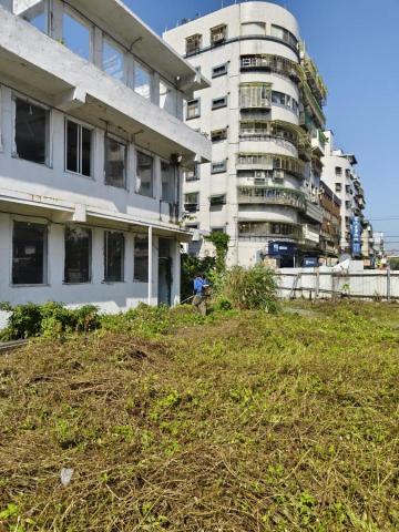 🪽森羽園藝 - 建築用地除草