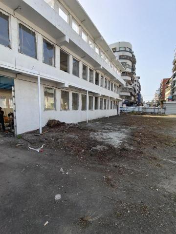 🪽森羽園藝 - 除草清運及施除草劑