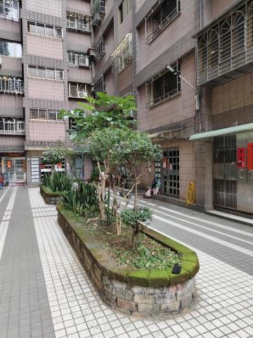 🪽森羽園藝 - 花檯整理及灌木修剪