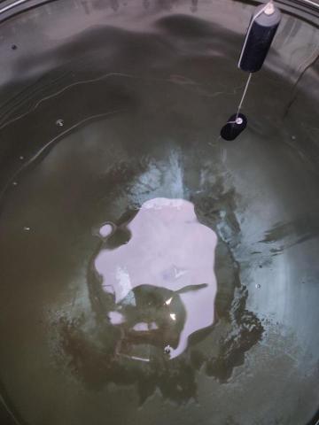 歐寶仁 - 水塔清洗前